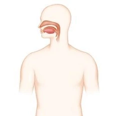 2426E9375716FEB604F32F