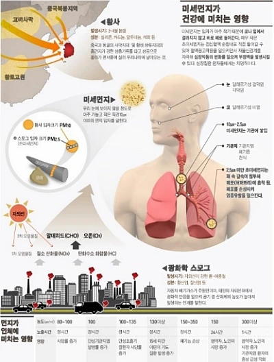 251D00445629ADA61D38B6