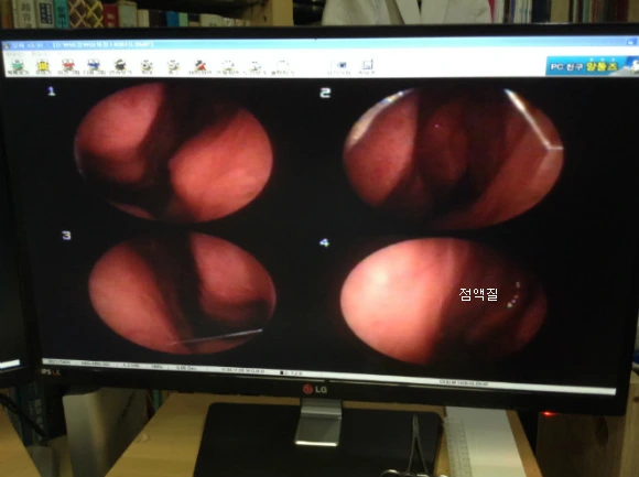 267DE24056FD9BD833E1C5