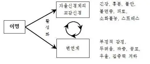 2415CA3F5673D53E3CC6A0