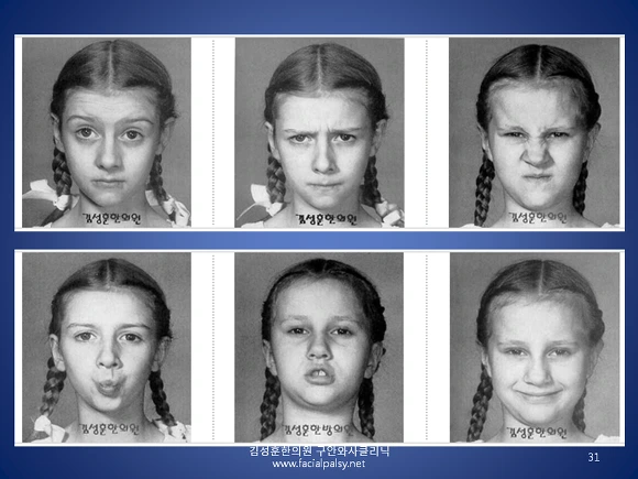 223C463656669EDC195048