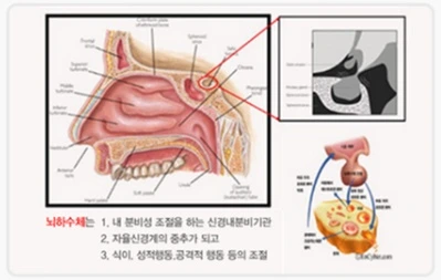 226EF84F56A0D08D2331A2