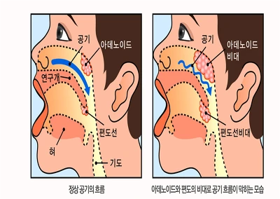 261467405695D99B27EF41