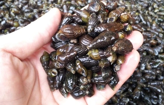 241A4F3C572AE510078D3C