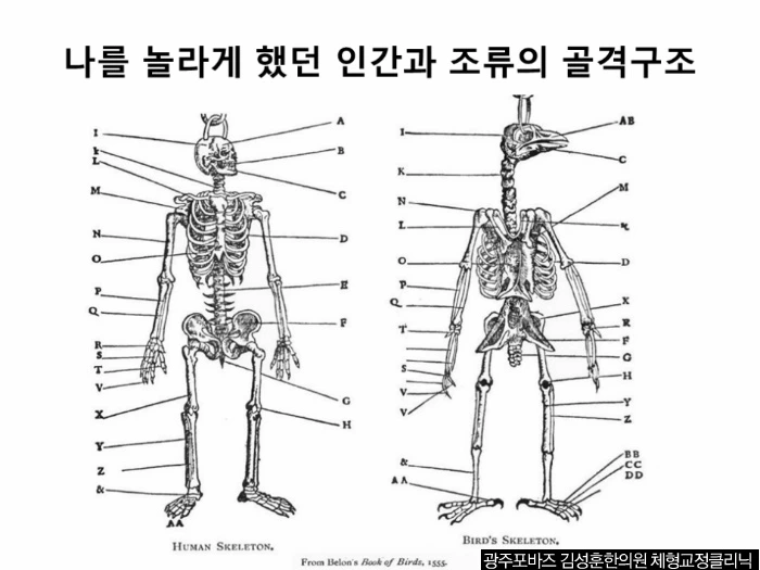 2650E434570CC35809BA97