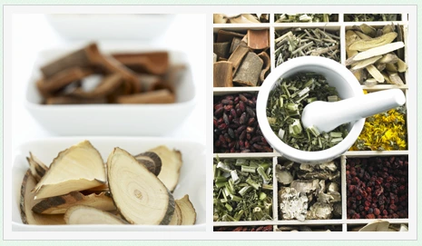 21079F48567684BB3385FE