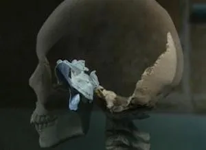 23312F3E569F633A0E499F