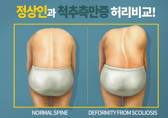 2223543E568D03971B7E8F