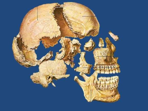 2138F64D57319DCD208AA6