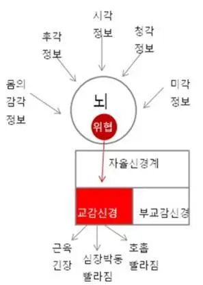 212FE94B5673D5052D209E