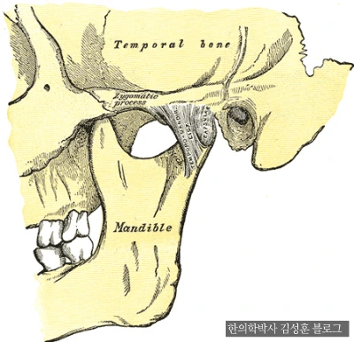 2463D14B568E62FE2E511C