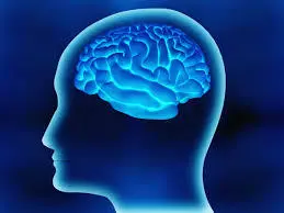 2777A64F5699915B3686BD