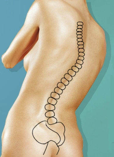 236D4B3F56D62C85070205