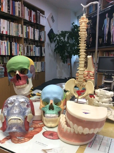 230ACA4656A8B7A424ED37