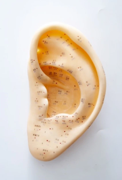 211FD94B5628B58D21F624