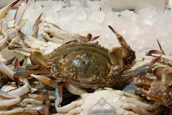 2015-09-15 16;26;22.PNG