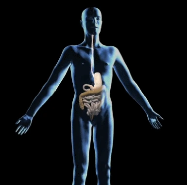 2508683A566137F5165B87