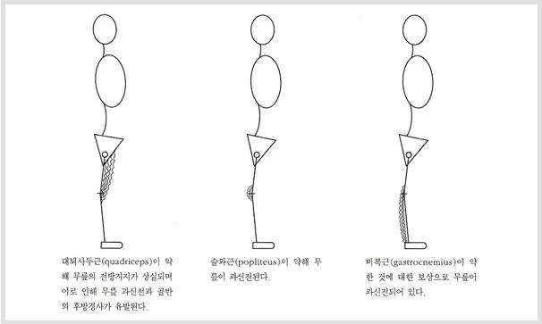 217CC84556A1C9E5381BF1