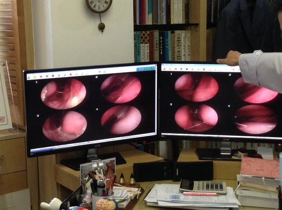 275F1E4F56FD99D631D096