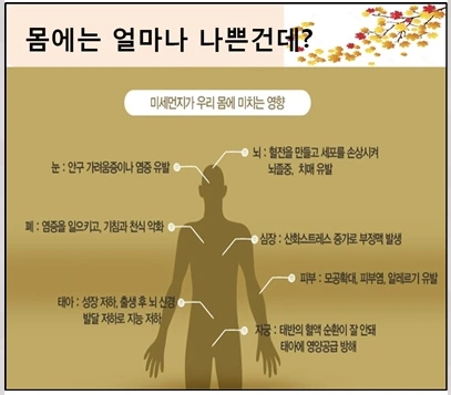 214D193F5629AE032B758D