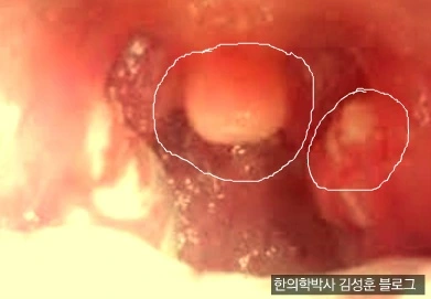 241C493B567273893656F4