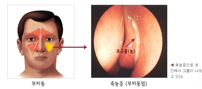 2403C642565ED09C3212CF