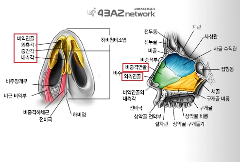 255A50415682282A2D3C47