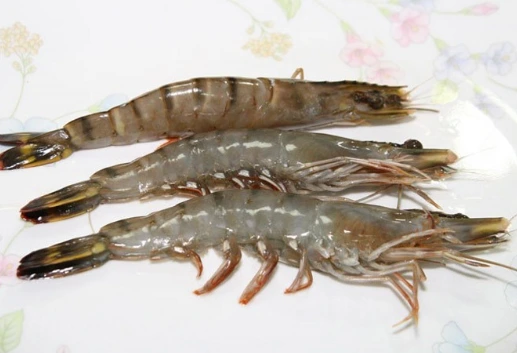 21680043561DFDF50644B4