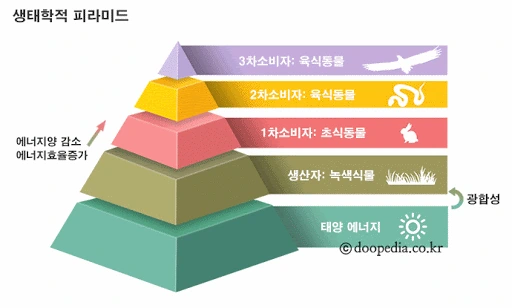 5DGtrt9EuoKv_NPZbouQN97faCjEdeION4n8JIWu-BZeb0WpNGFyduBLcsENPH90b0KflRzF9kCBhRIHCwdRTQxeOvT51cUrCfYFSaMYQe8Up2YrI3__hexWFAB_U6MKjCPUmqy7wqIbMqakDMEwsZtvpS2sJTe4l2UcIXLcuxxb8c9MuHuOfUdyVqPLe6H95lDsZkYz2D8YsDBBOEuEIuI-gR-knCcl4vRRx_MgTOiuQFLySwi8KBQ7U7giQ33lT1Wi6_-l6BBP2oqHTmkgCt1mO8PGkzrOJQ