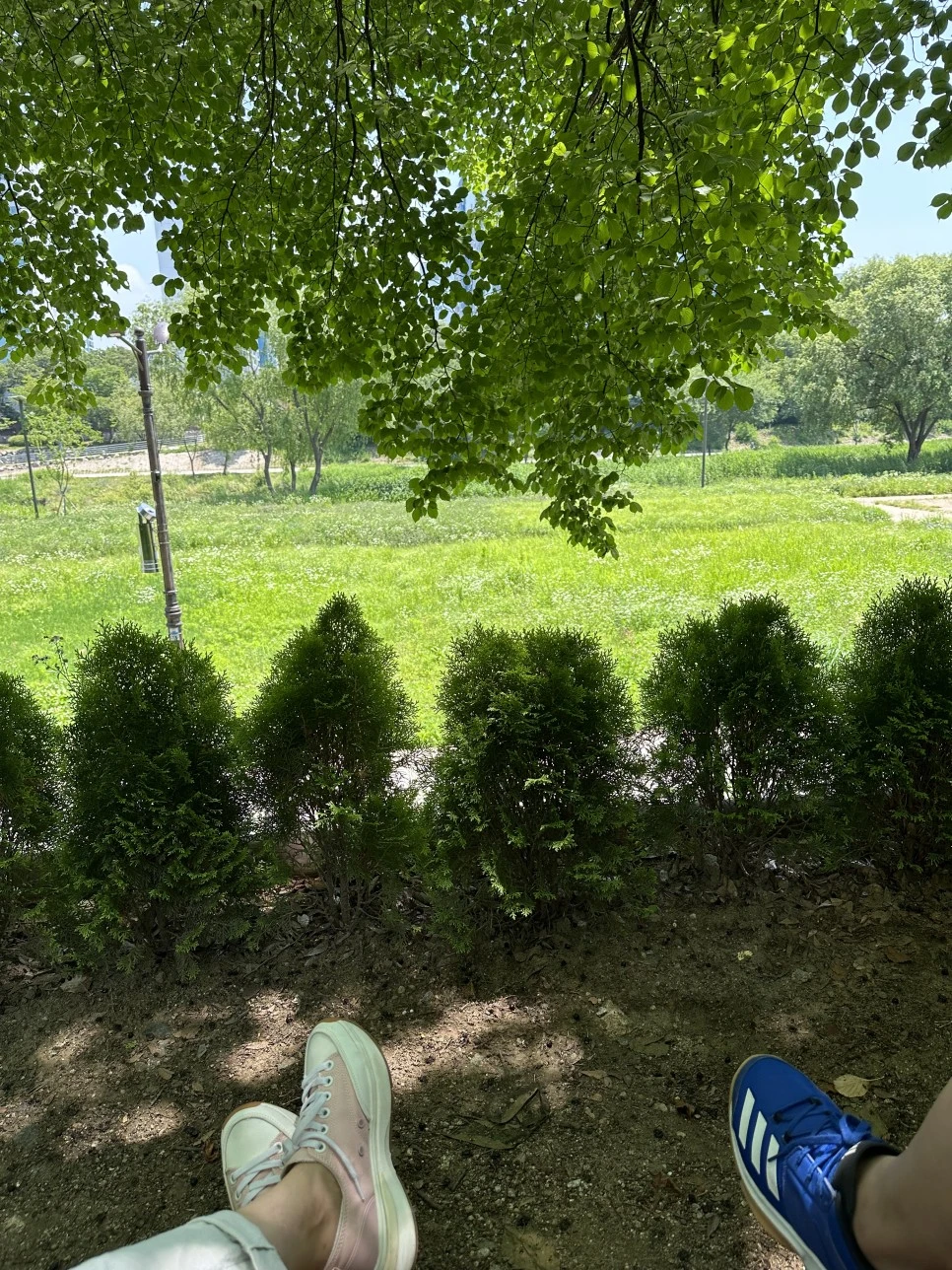 IMG_1105.jpg?type=w966