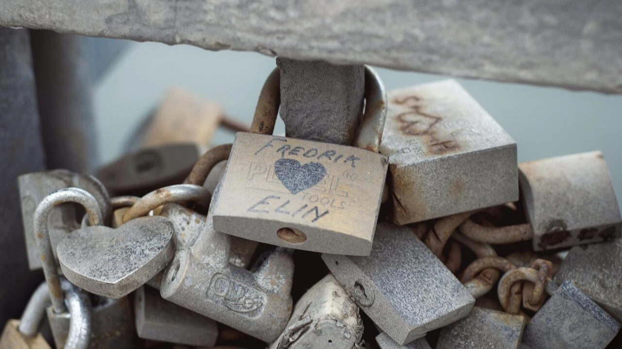 photo-1464469084008-05b1c4d2c22f?ixlib=rb-1.2.1&amp;ixid=eyJhcHBfaWQiOjEyMDd9&amp;auto=format&amp;fit=crop&amp;w=1000&amp;q=80