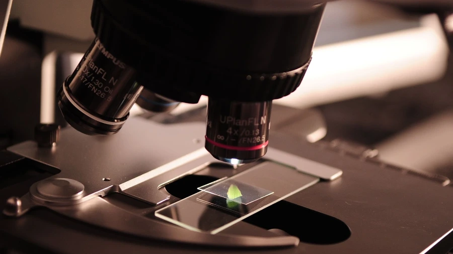 9y_Ssg-mkeBnolBnidoixF_n5DHt2MeeVje6YW57aAMu7rafVkbHvdTccaEiotheN-uJbgsVmoNzEi9xkOUqUY4ZFN9Snx-_WRvr3Wvcsd_n3ThJCqFStYVn_HcyMWgJYWT2bPdRtq1Szzgt9d_mYm0