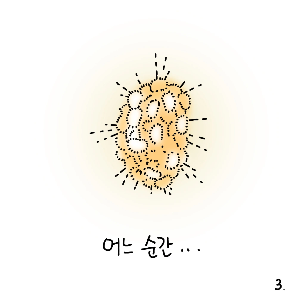 콩팥03.jpg