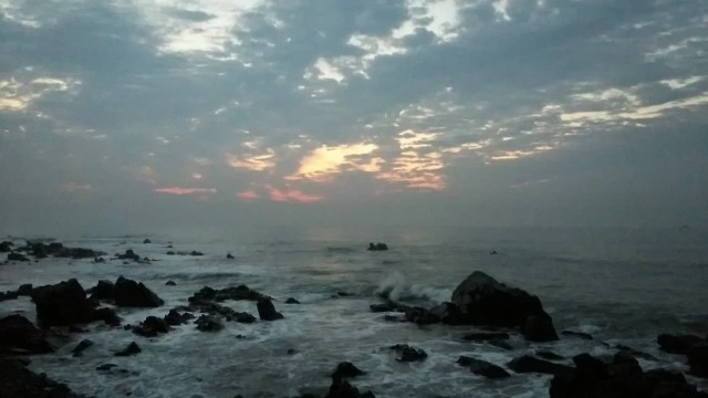 20140812_051414.jpg3.jpg?type=w1