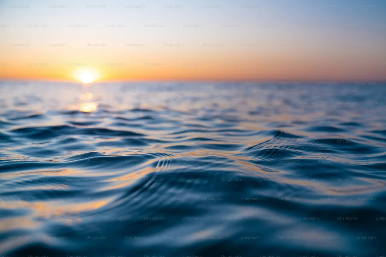 premium_photo-1670148434570-8130d3bc05c9?ixlib=rb-4.1.0&ixid=M3wxMjA3fDB8MHxwaG90by1wYWdlfHx8fGVufDB8fHx8fA%3D%3D&fm=jpg&q=60&w=3000