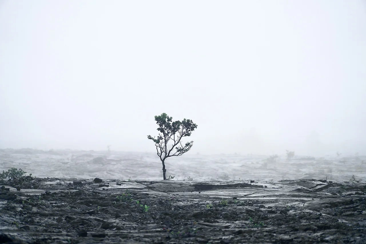 photo-1704168382809-6f1ef716e884?fm=jpg&q=60&w=3000&ixlib=rb-4.1.0&ixid=M3wxMjA3fDB8MHxwaG90by1wYWdlfHx8fGVufDB8fHx8fA%3D%3D