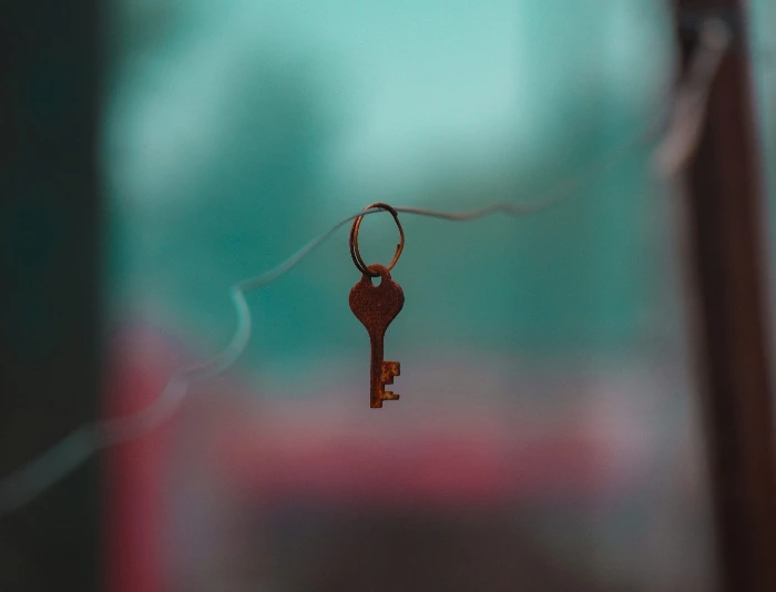 photo-1590393654513-897773df2125?fm=jpg&q=60&w=3000&ixlib=rb-4.1.0&ixid=M3wxMjA3fDB8MHxzZWFyY2h8MzB8fGtleXxlbnwwfHwwfHx8MA%3D%3D