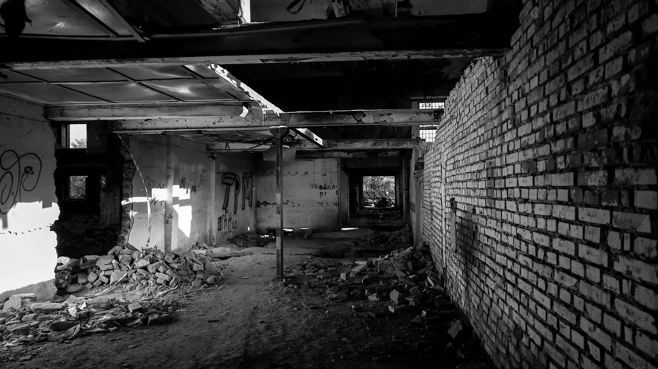 photo-1727771070225-dd57c16efe9d?fm=jpg&q=60&w=3000&ixlib=rb-4.1.0&ixid=M3wxMjA3fDB8MHxwaG90by1wYWdlfHx8fGVufDB8fHx8fA%3D%3D