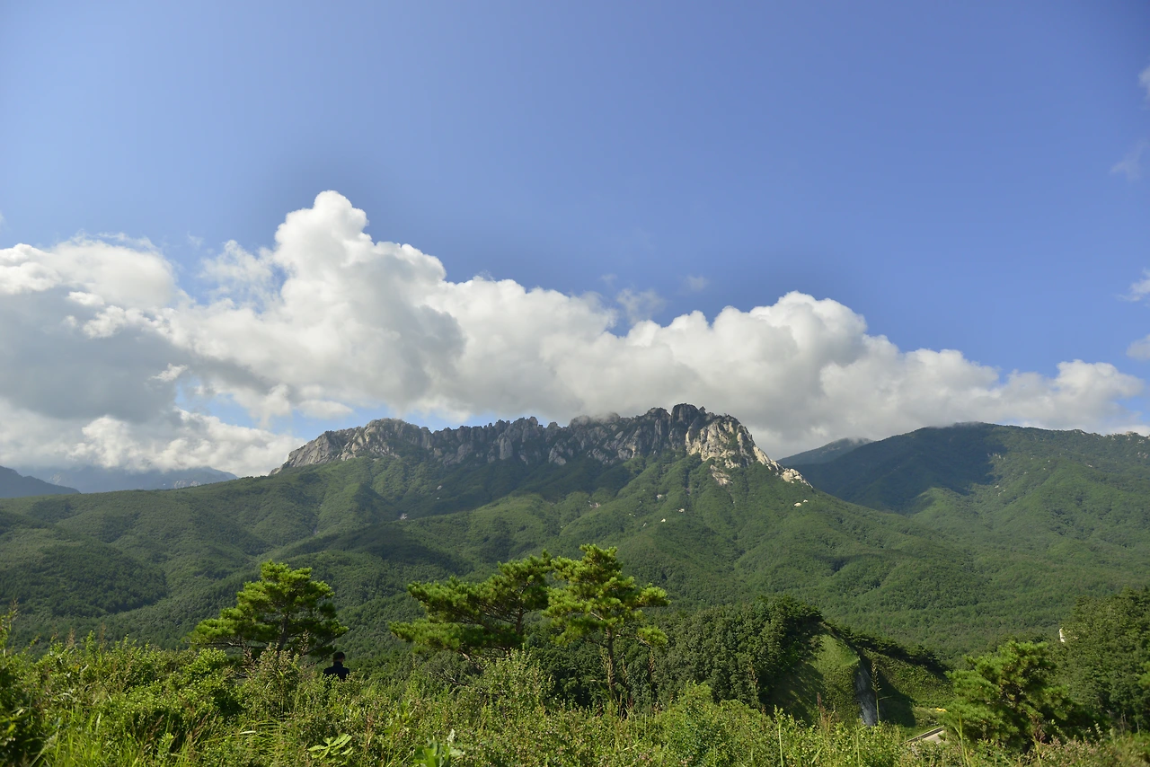 속초팸4.19 (1).JPG