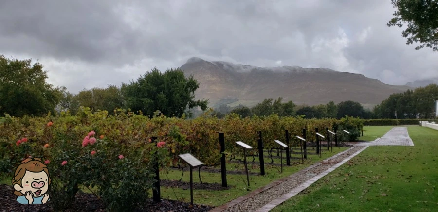 SE-e4cbdcc9-a68e-458d-b9ab-cf7efb1cf3ac.jpg?type=w1