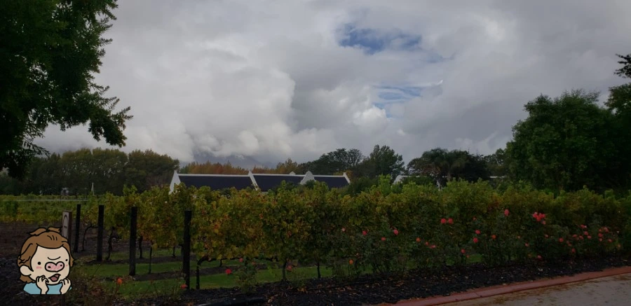 SE-4103413e-10c4-4acc-9f14-cb7bcd277ed1.jpg?type=w1