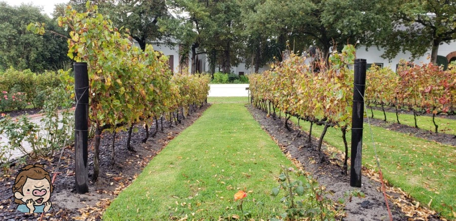 SE-4b5512f6-63e0-40ce-96de-03f906599331.jpg?type=w1