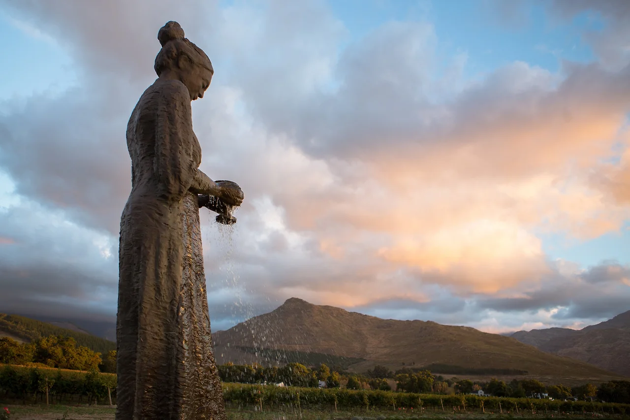 TX9A9515.jpg?v=1494252156