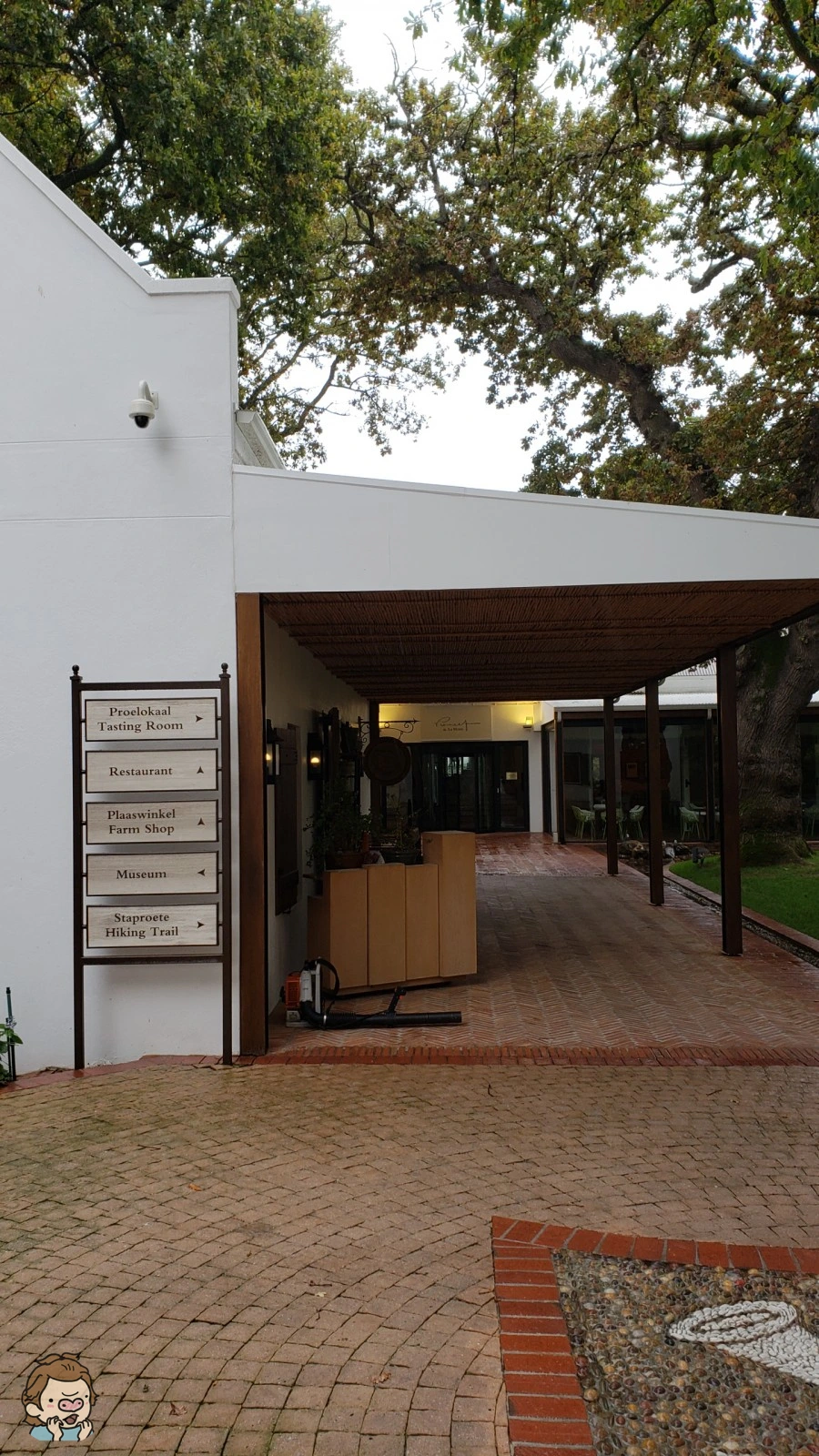 SE-ab204c6c-255a-4434-a2a4-57a2d52d8760.jpg?type=w1