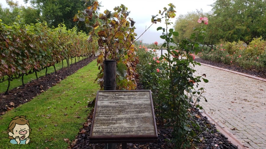 SE-a42bc43f-8e24-4ab3-9b93-b6df454c8758.jpg?type=w1