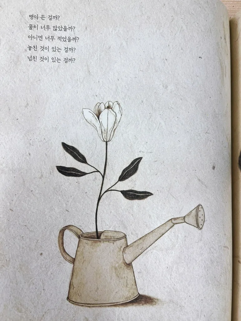 SE-1abdb2df-d017-4e58-8d0e-13ab2172fbec.jpg?type=w773