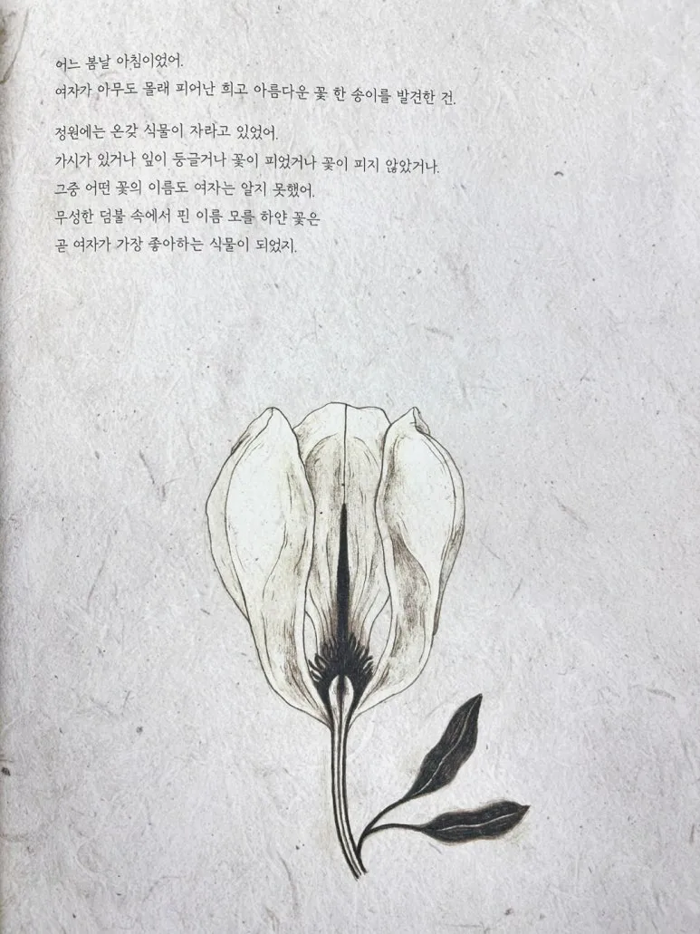 SE-22f5ffd0-0bbf-4cd9-9465-5faf9f3cb154.jpg?type=w773