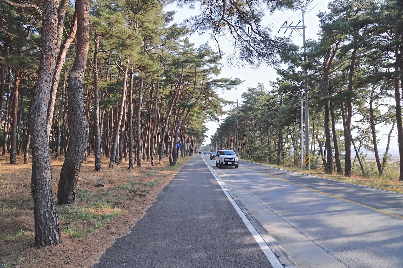 35송정솔밭.JPG
