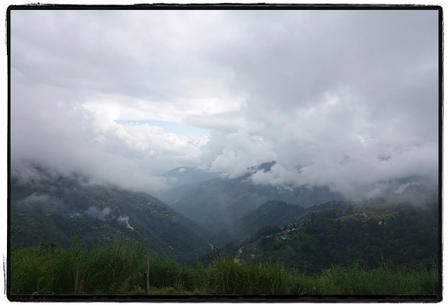 DSC00596.jpg?type=w966