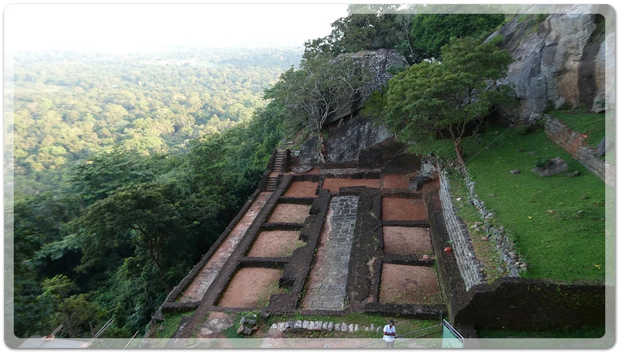 P1011113.jpg?type=w966